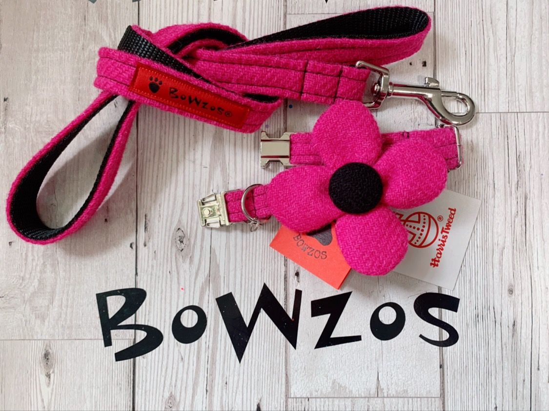 Edinburgh Bowzos Scotland s Trade Fair Spring Speciality Food Show 2024