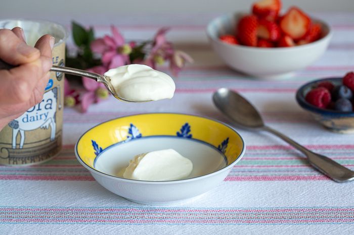 Rora Dairy Greek Style Yogurt