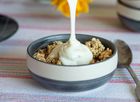 Rora Dairy natural yogurt