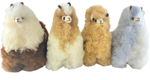 Alpaca
