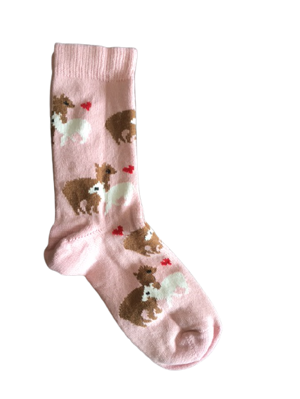 Alpaca socks