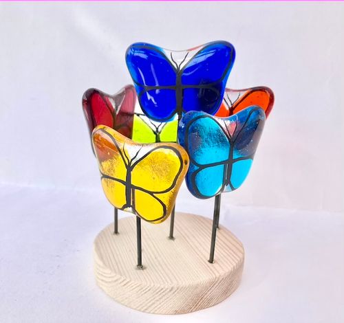 Rainbow Butterfly Circle