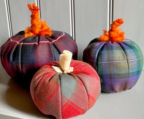 Tartan Pumpkins