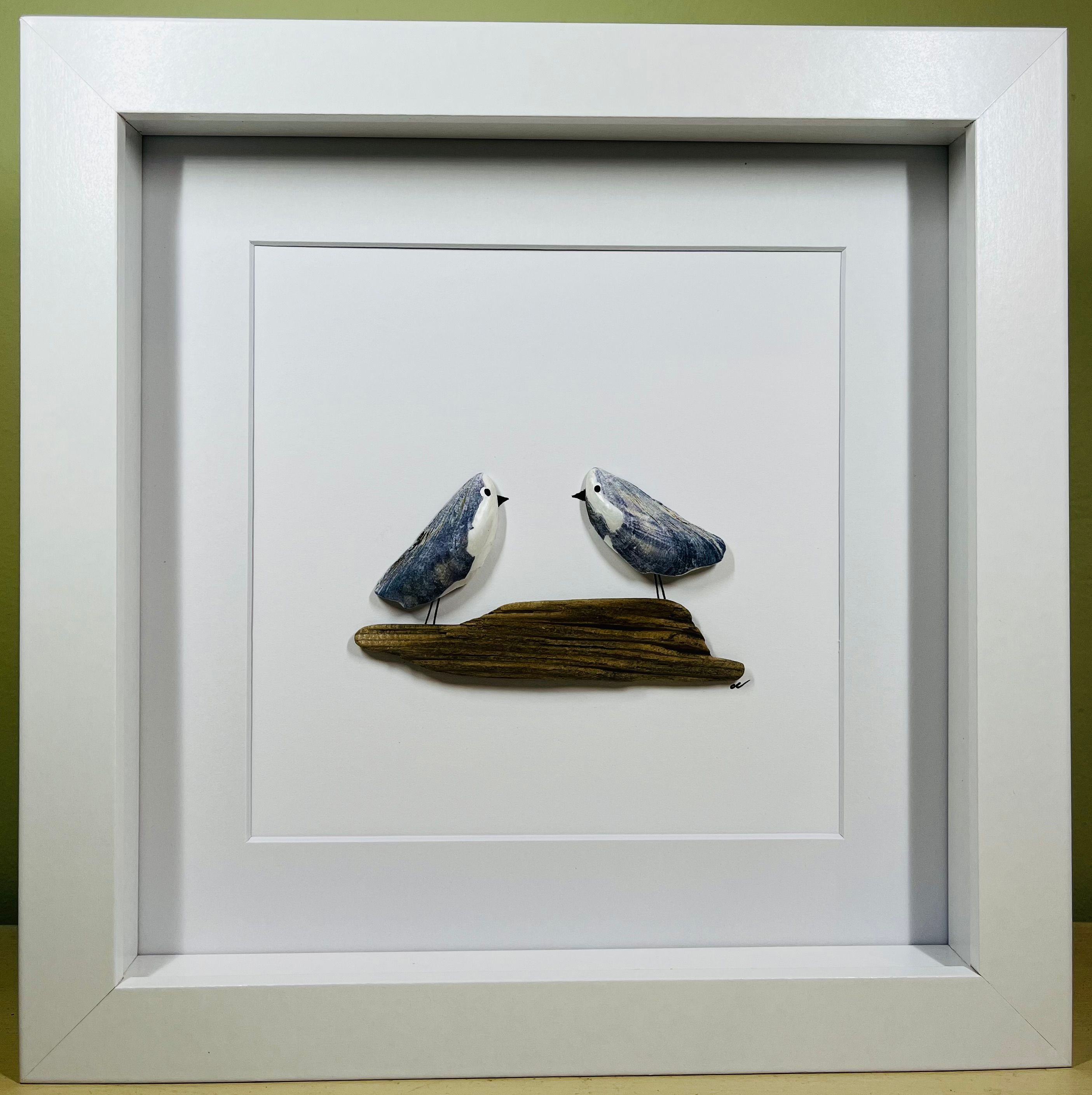 Mussel Shell Picture