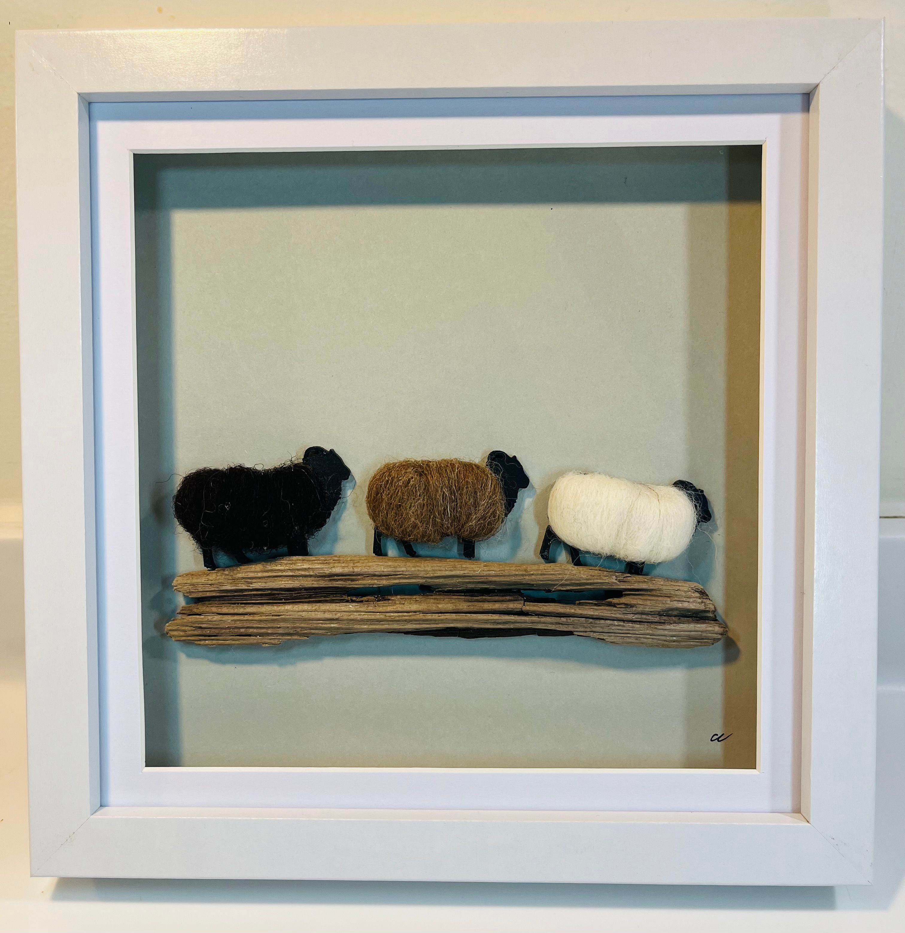 Sheep picture