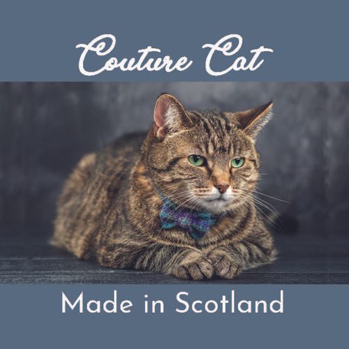 Couture Cat Collection