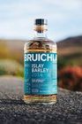 BRUICHLADDICH ISLAY BARLEY 2014 70CL
