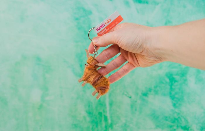 HANDCRAFTED COOS (keyrings, magnets, brooches, standing coos)