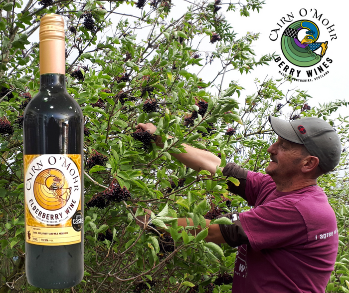 Elderberry Wine