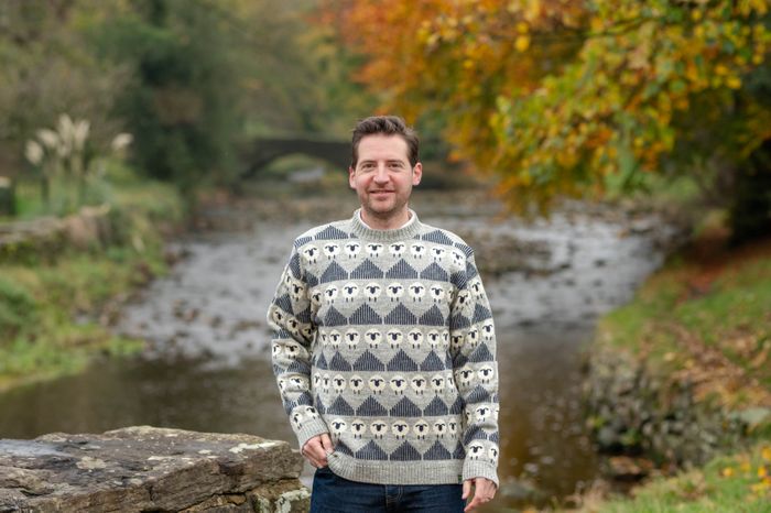 Phoebe British Wool Sheep Jumper