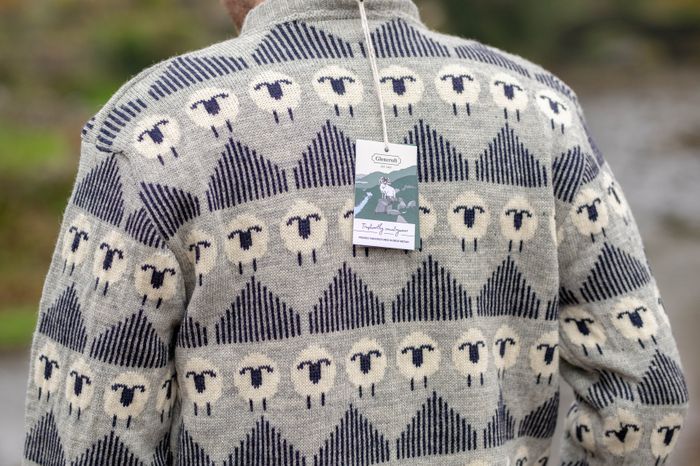 Phoebe British Wool Sheep Jumper