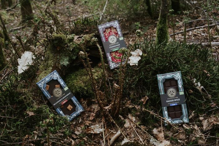 100g Organic Chocolate Bars