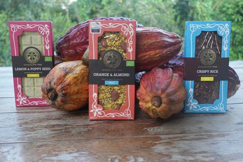 100g Organic Chocolate Bars