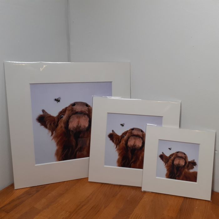 Mounted Giclee Prints