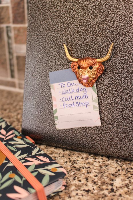 Highland Cow