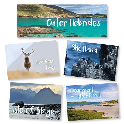 Fridge Magnets