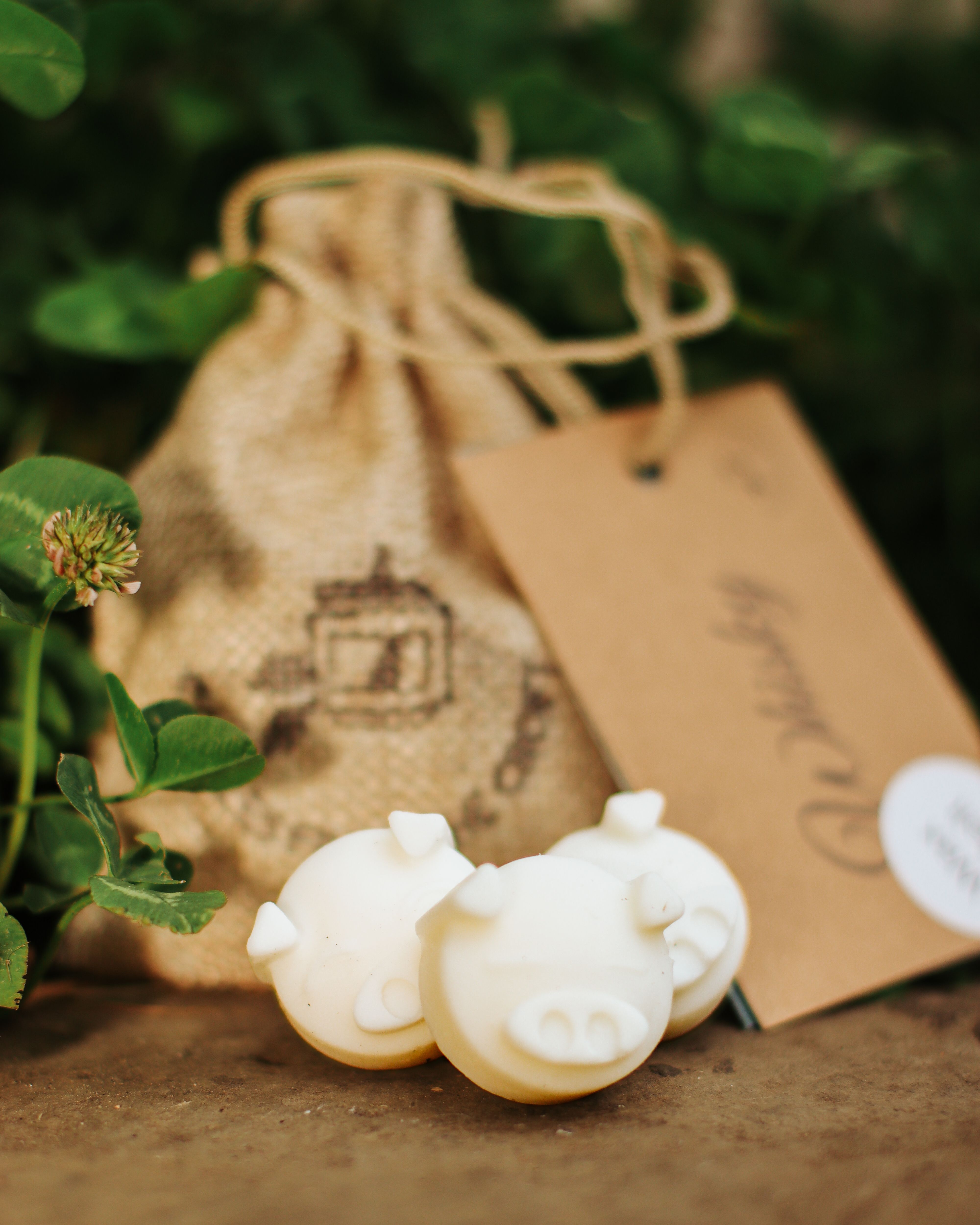 Soy Wax Melt
