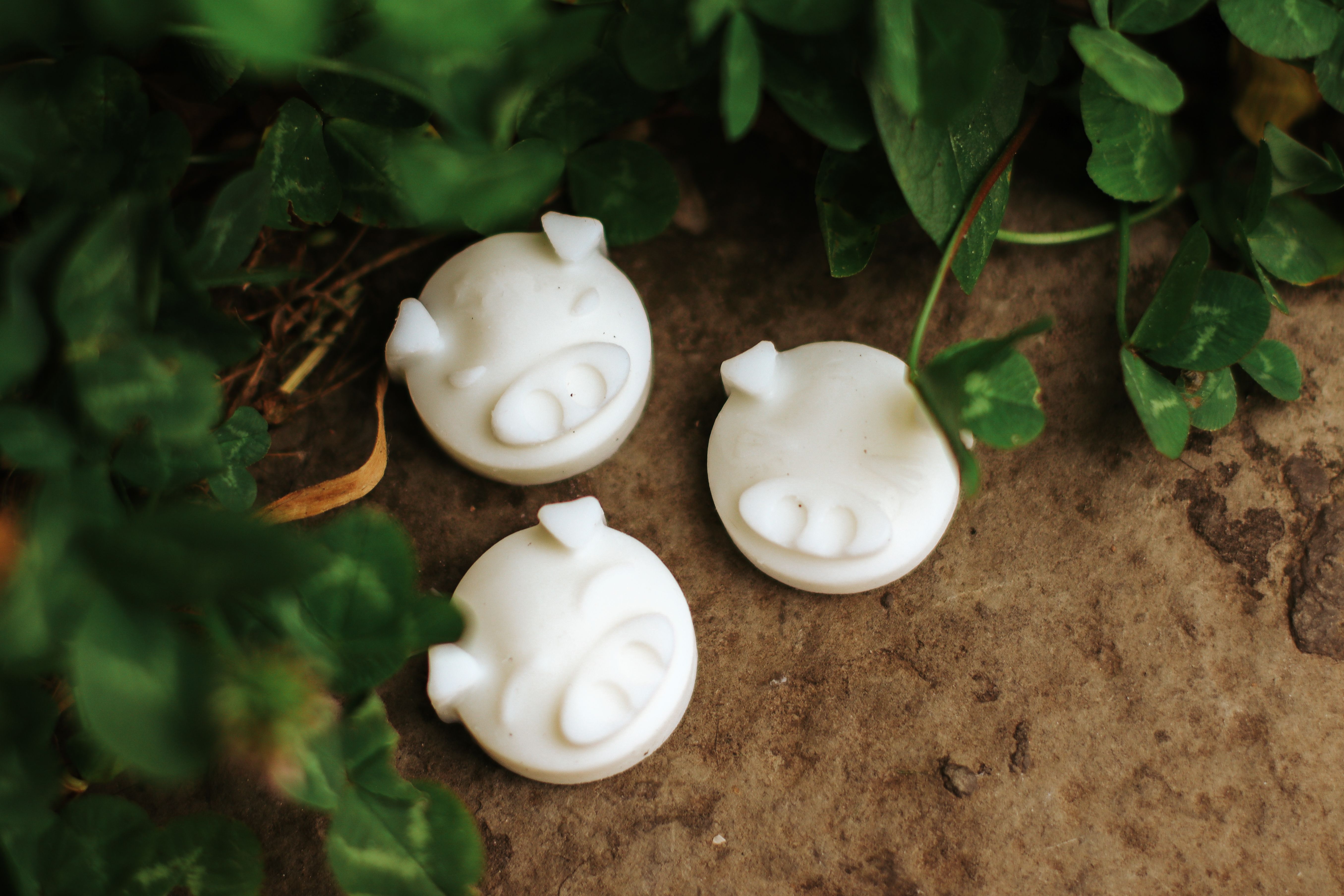 Soy Wax Melt
