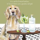 NEW Greeting Cards | Animal Art & Humour