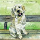 NEW Greeting Cards | Animal Art & Humour