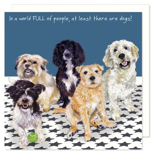 NEW Greeting Cards | Animal Art & Humour