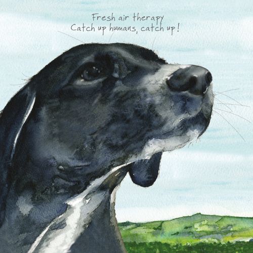 NEW Greeting Cards | Animal Art & Humour