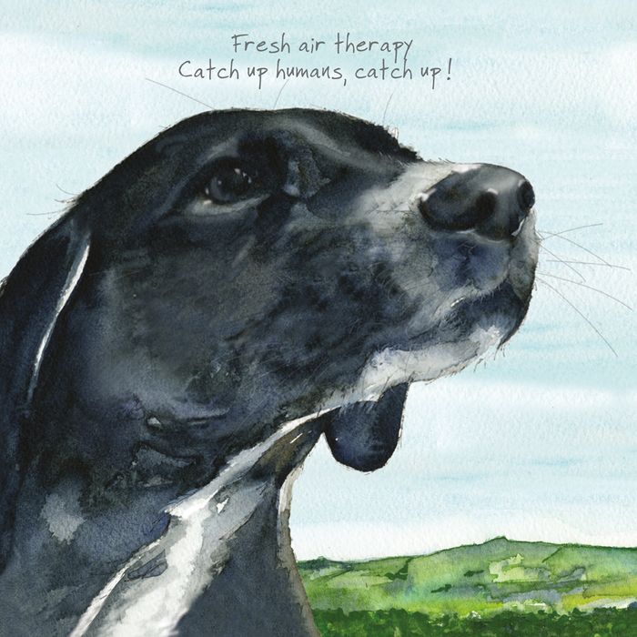 NEW Greeting Cards | Animal Art & Humour