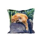 Cushions | Homeware Collection