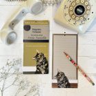 Magnetic Notepads | Stationery Collection