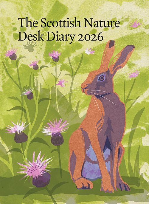 2026 Diaries and Calendars