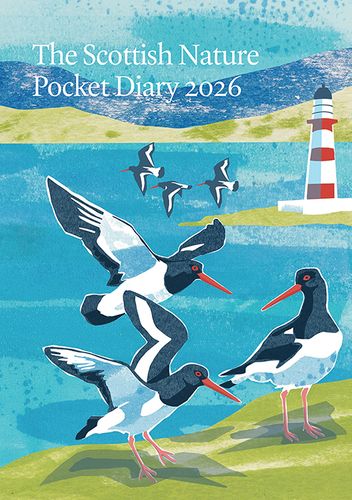 2026 Diaries and Calendars