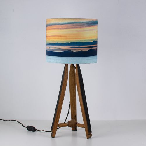 Bronze STF BEST PRODUCT award winning Recycled Lampshades