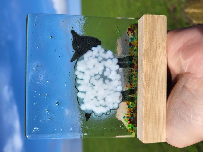 Sheep