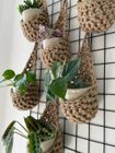 Jute Plant Basket (Small)