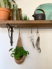 Jute Plant Basket (Small)