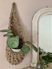 Jute Plant Basket (Large)