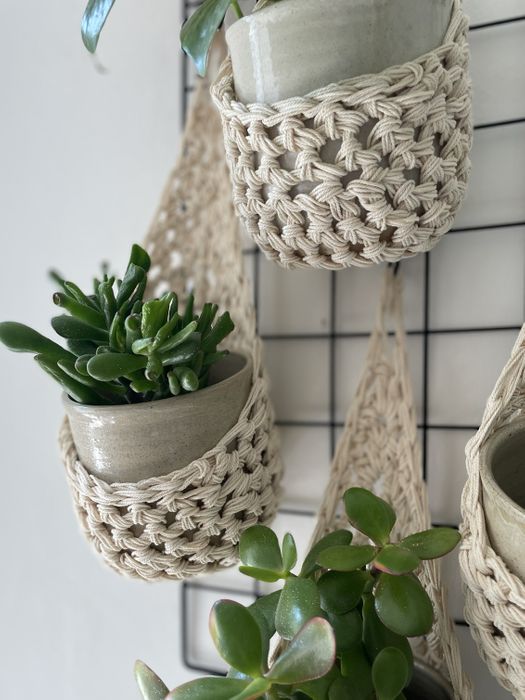 Ivory Plant Basket (Small)