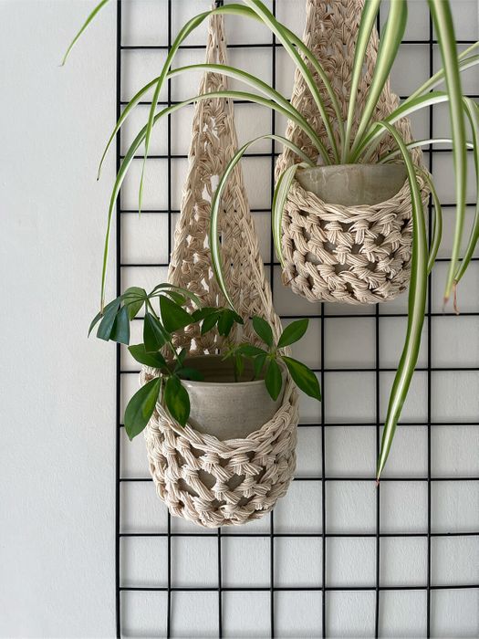 Ivory Plant Basket (Large)
