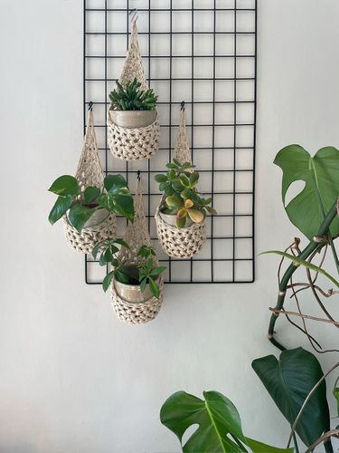 Ivory Plant Basket (Large)