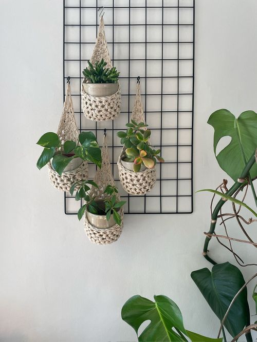 Ivory Plant Basket (Large)