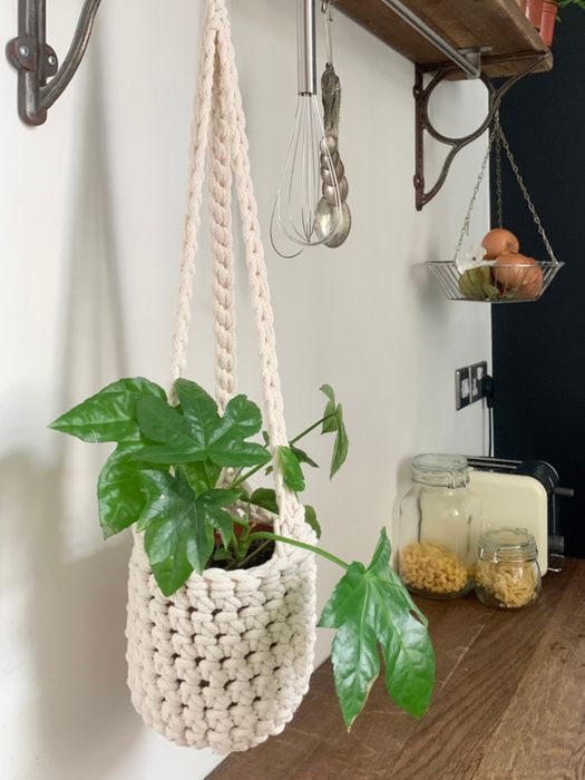 Ivory Cotton Plant Hanger