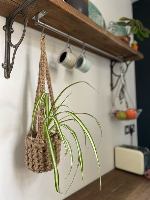 Jute Plant Hanger