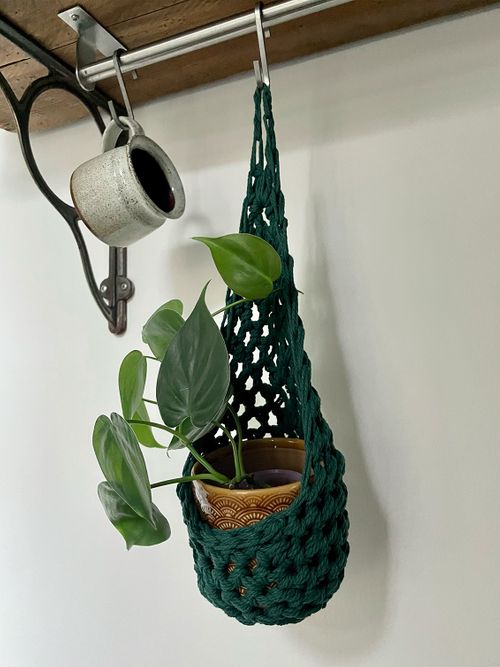 Green Cotton Plant Basket (Small)