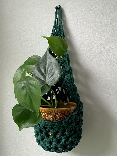 Green Cotton Plant Basket (Large)