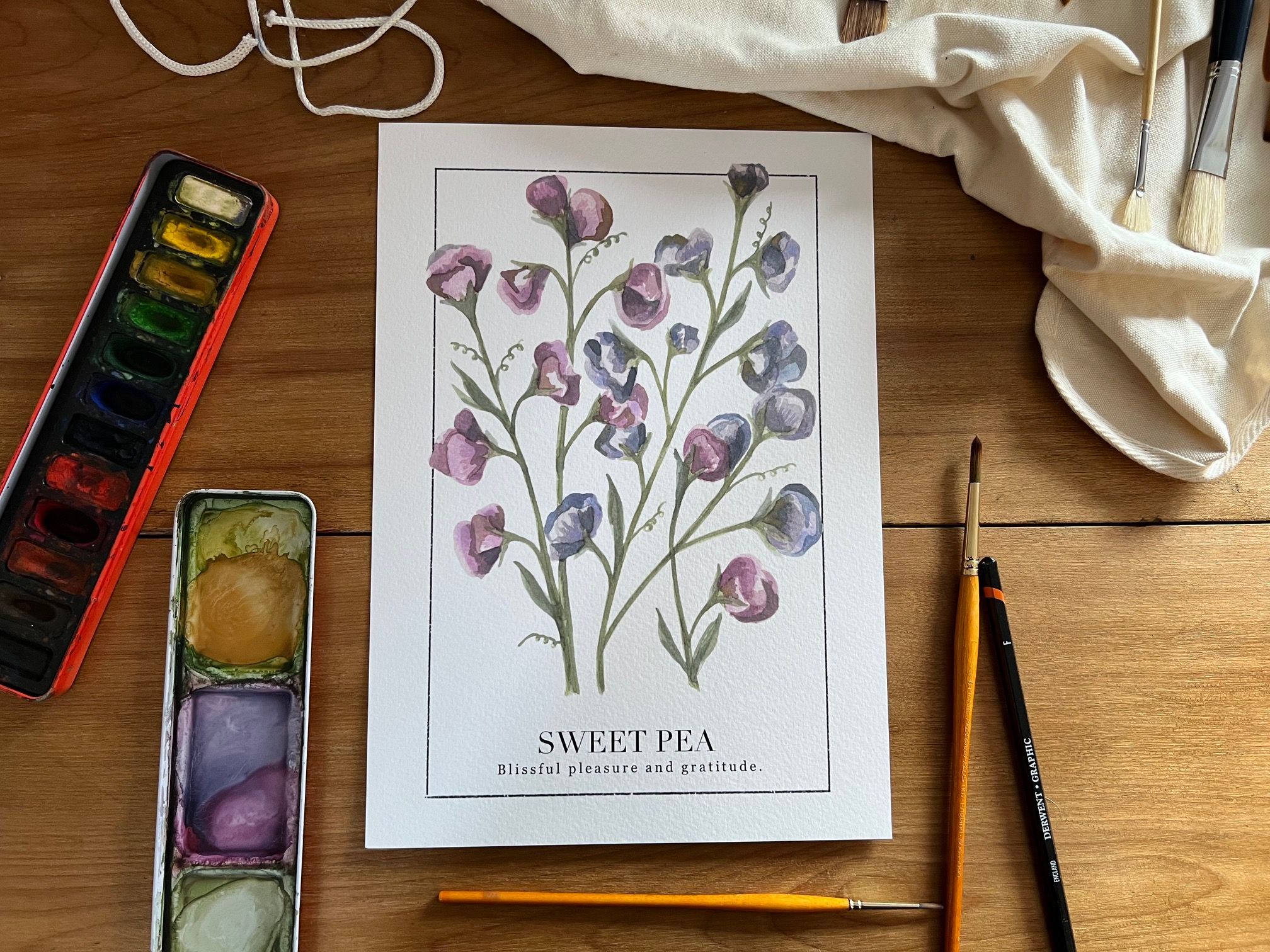 Sweet Pea 