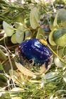 Christmas bauble - East Neuk of Fife
