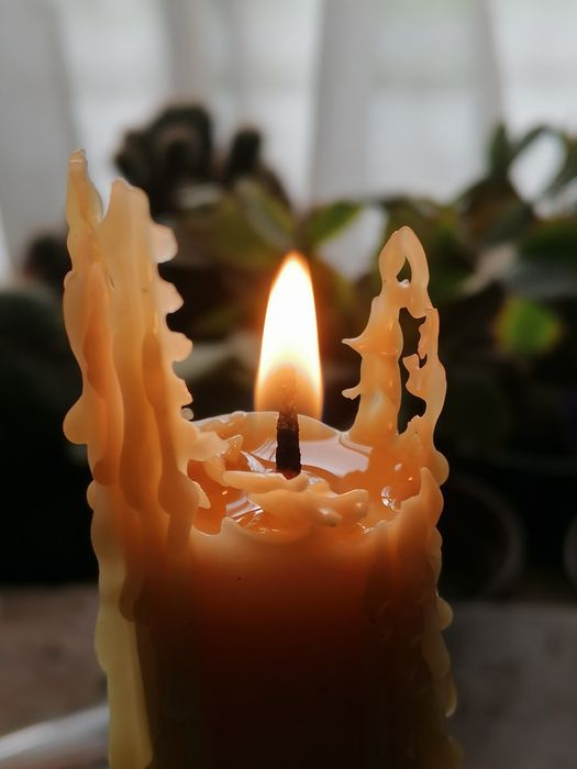 40 pure beeswax pillar candle