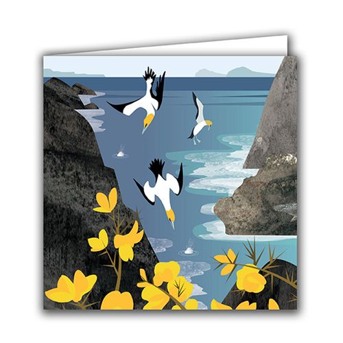 Diving Gannets