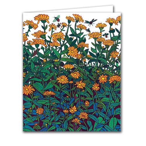 Calendula