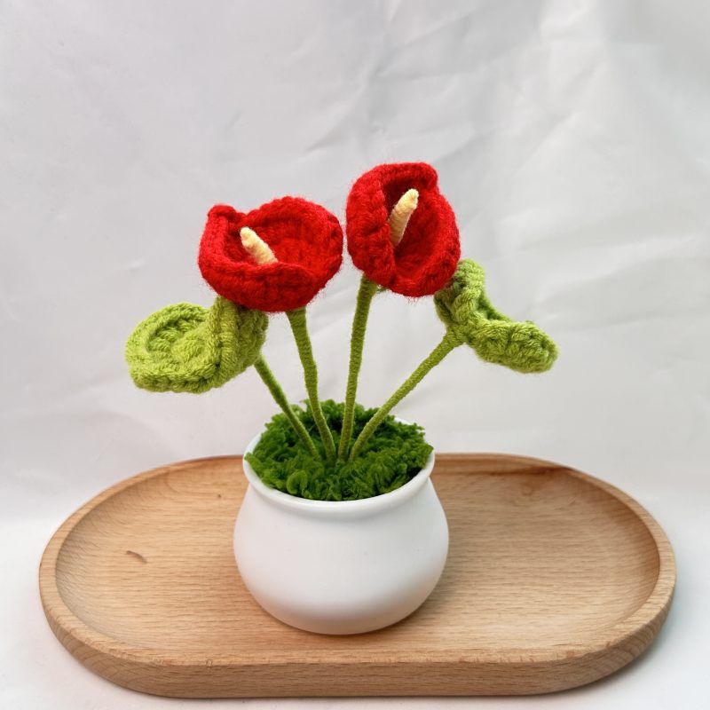 Plant Pots